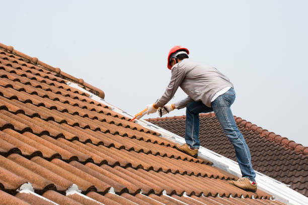 Emergency Roof Repair in Elgin, MN